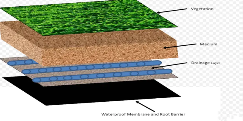 greenroof design1_.webp